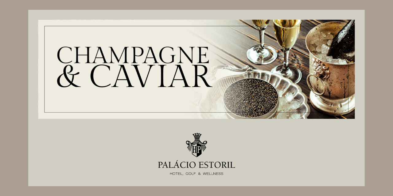 Uma Noite de Opulência|Viva o Vinho