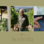Aveleda desenvolve sistema pioneiro em Portugal para identificar castas através de inteligência artificial