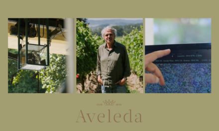 Aveleda desenvolve sistema pioneiro em Portugal para identificar castas através de inteligência artificial