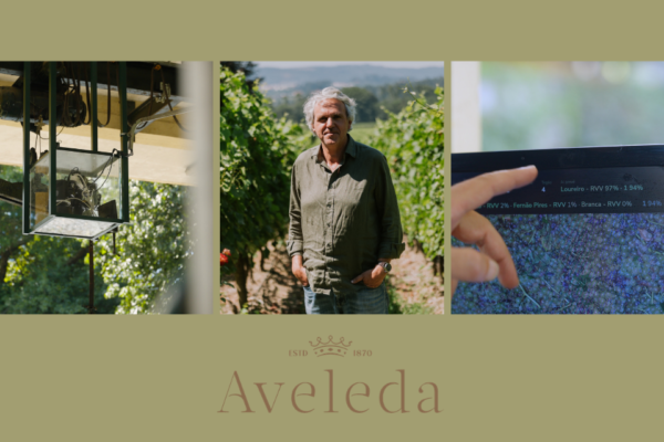 Aveleda desenvolve sistema|Viva o Vinho