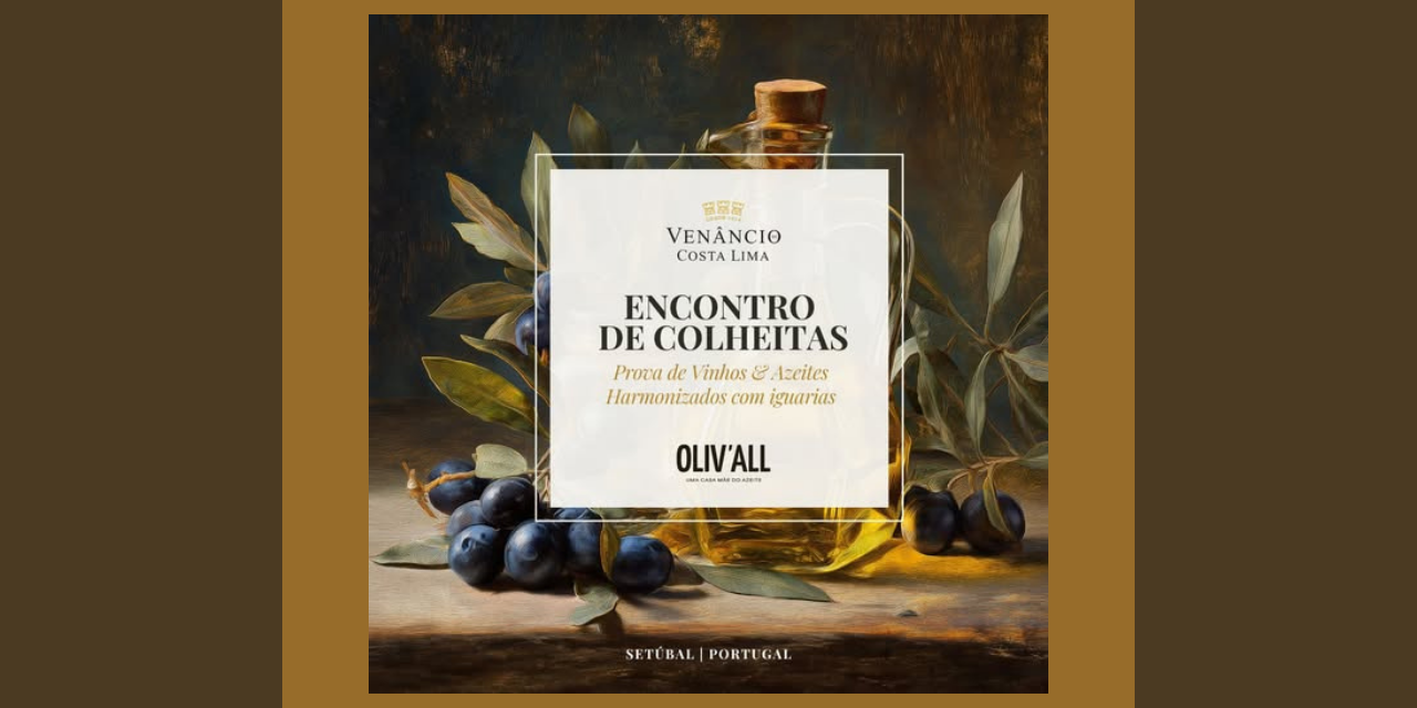 Encontro de Colheita Azeites E Vinhos|Viva o Vinho