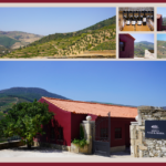 Quinta Vale D. Maria inaugura novo enoturismo dedicado às Vinhas Velhas do Douro