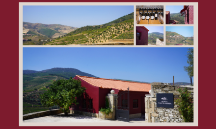 Quinta Vale D. Maria inaugura novo enoturismo dedicado às Vinhas Velhas do Douro