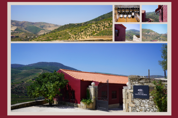 Quinta Vale D. Maria enoturismo|Viva o Vinho