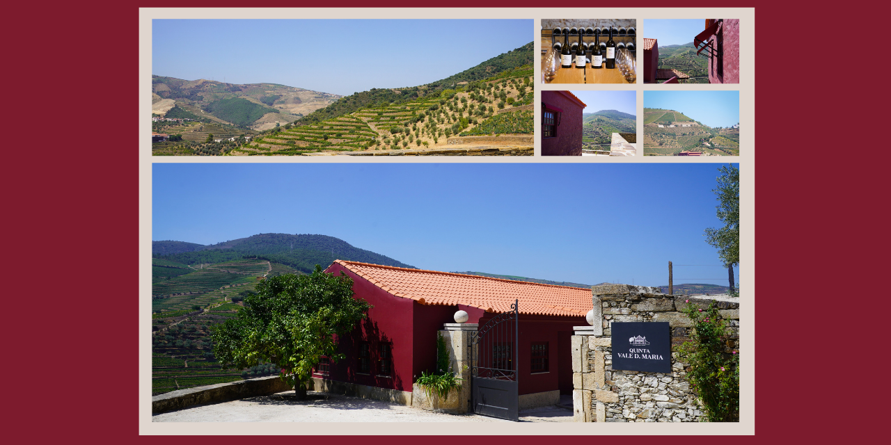 Quinta Vale D. Maria inaugura novo enoturismo dedicado às Vinhas Velhas do Douro
