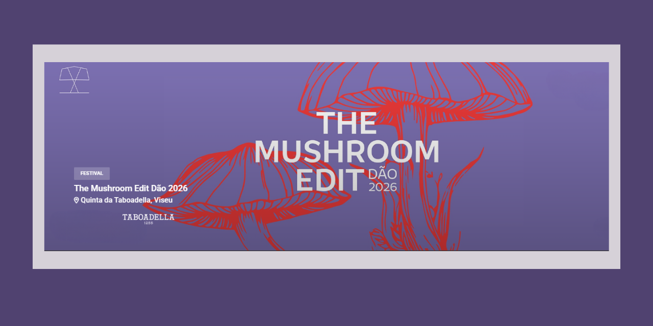 The Mushroom Edit|Viva o Vinho