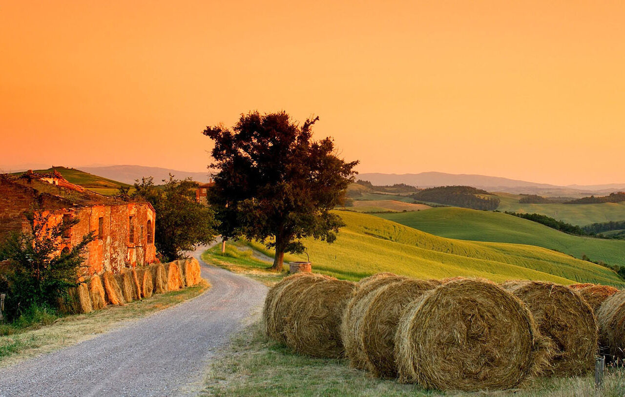 A tradição milenar dos vinhos na Toscana