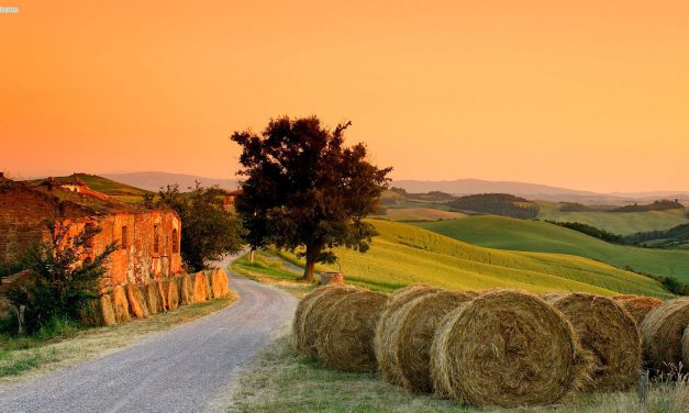 A tradição milenar dos vinhos na Toscana