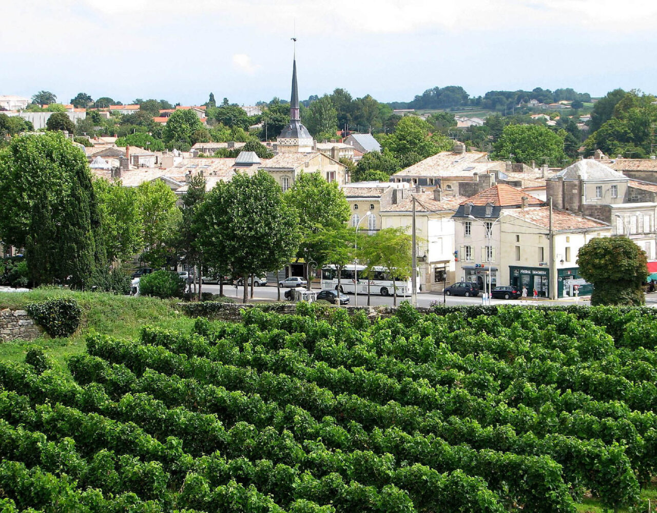 A complicada classificação dos vinhos de Bordeaux