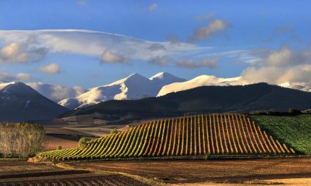 Rioja é a principal região vinícola da Espanha