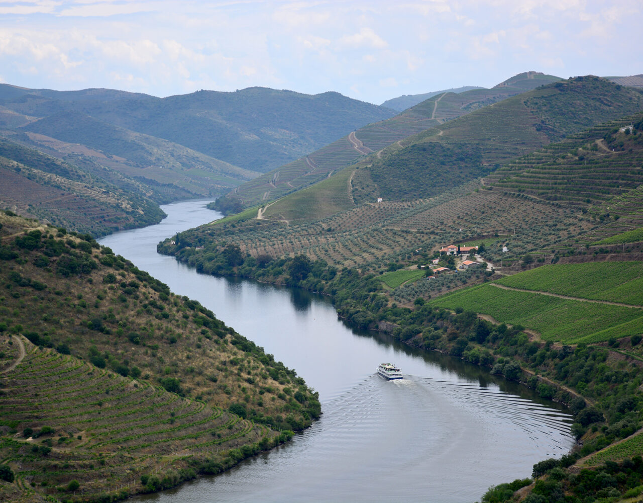 Vinhos e azeites no Douro: quatro dias na DOP mais antiga do mundo