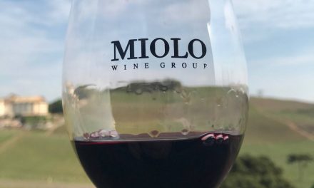 Um vinho assinado por você: Miolo abre inscrições para o Projeto Winemaker