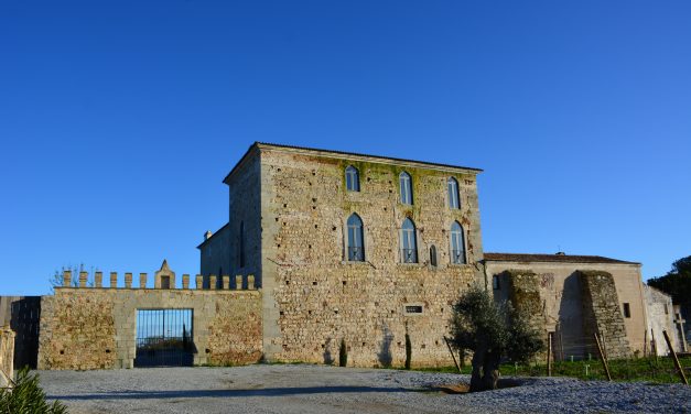 Visita Fita Preta: uma adega em um castelo medieval