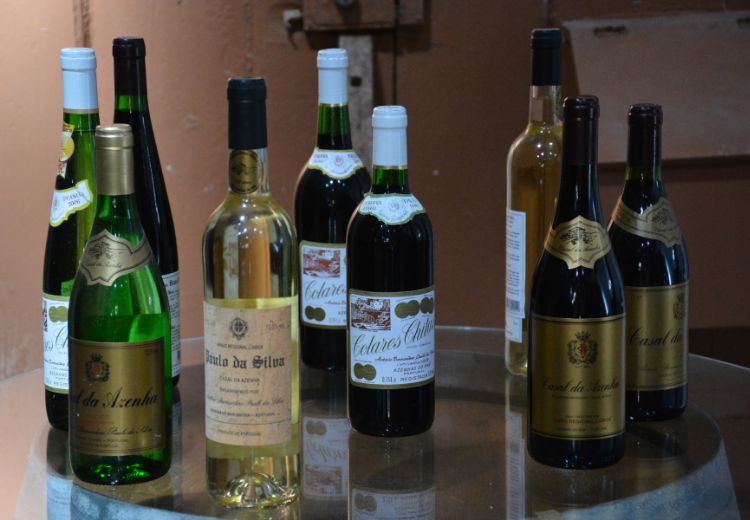 Vinhos da Adega Beira Mar | Viva o Vinho