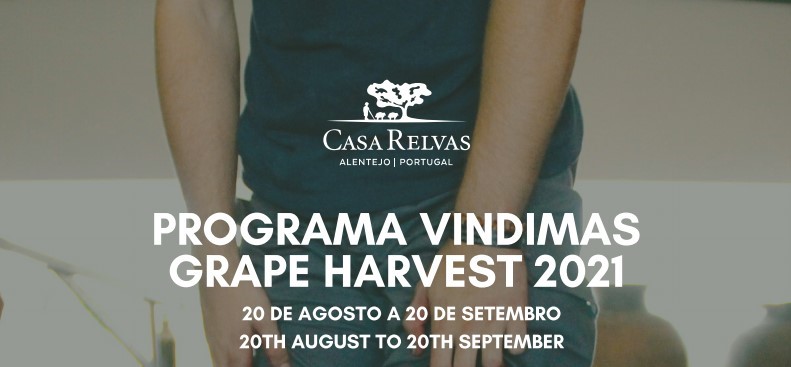 Programa vindimas grape harvest 2021