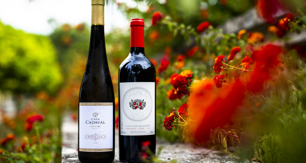 Entre vinhos e lazer, “Gala Vinhos do Tejo 2021” veio homenagear o melhor da região