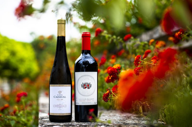 Gala Vinhos do Tejo 2021 Vinho Excelência | Viva o Vinho