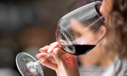 Sou um enófilo, sommelier ou enólogo? Conheça o seu papel no universo do vinho