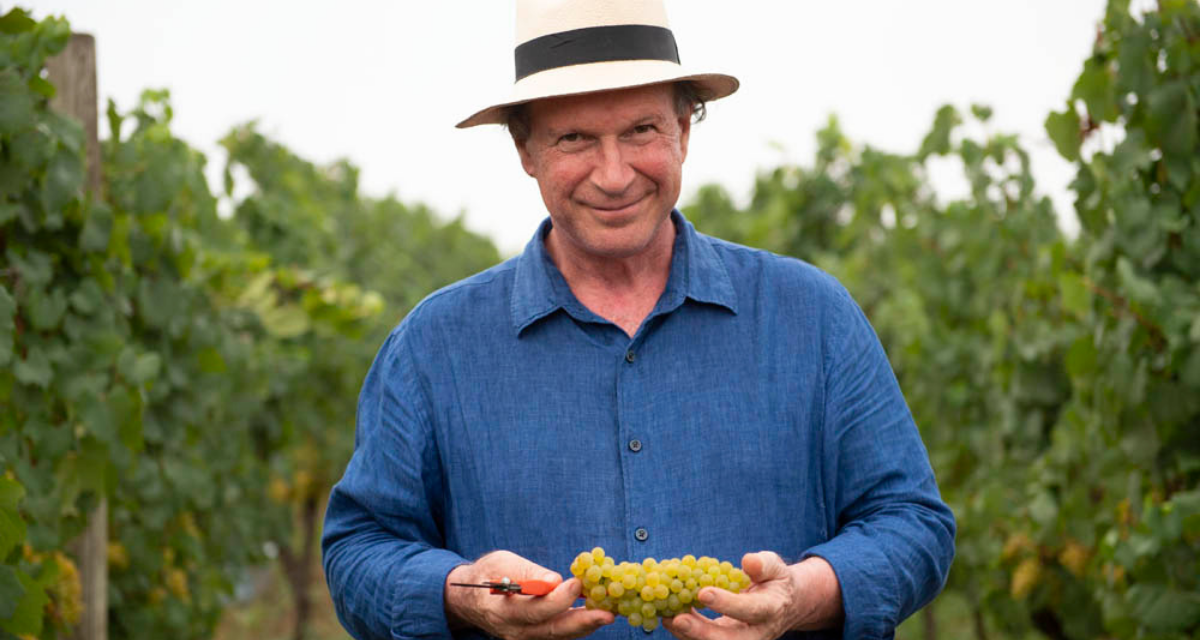 A CHANDON compartilha suas práticas de viticultura sustentável e desafios da colheita de 2022