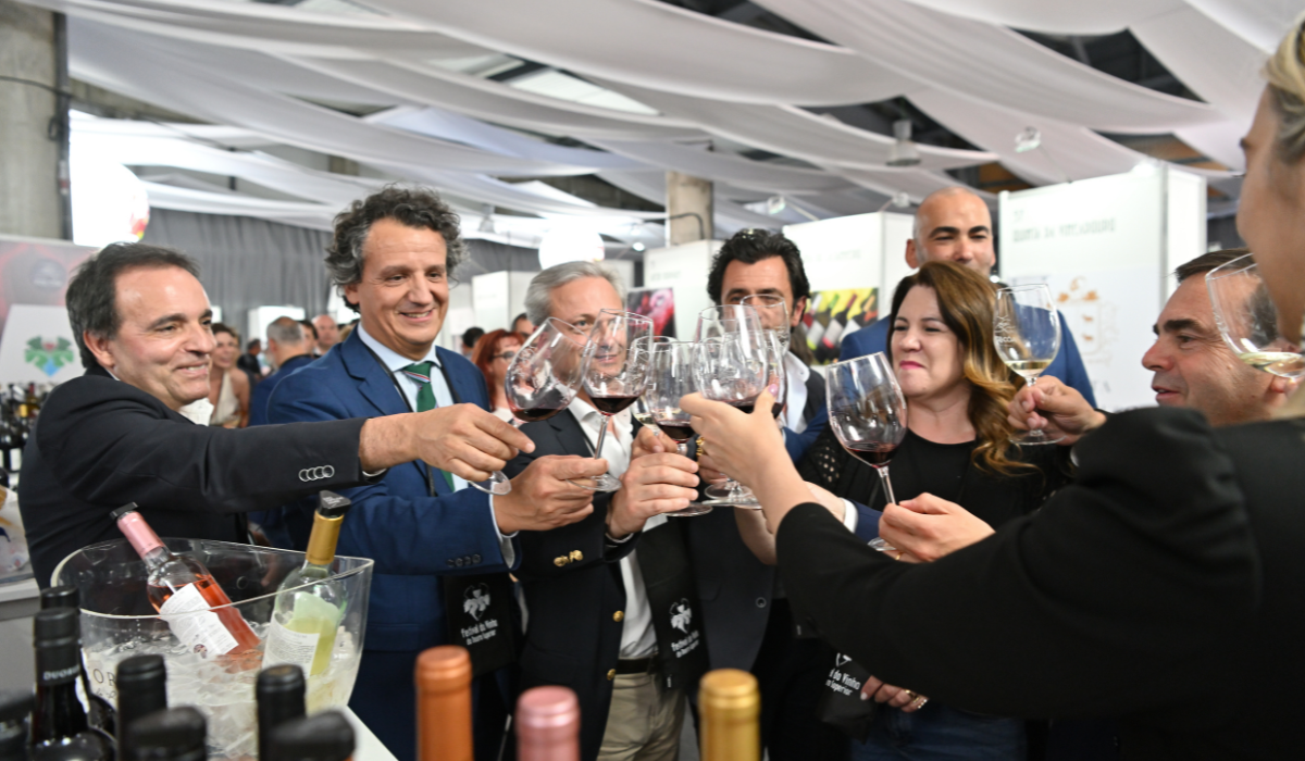 9º Festival do Vinho do Douro Superior | Viva o Vinho