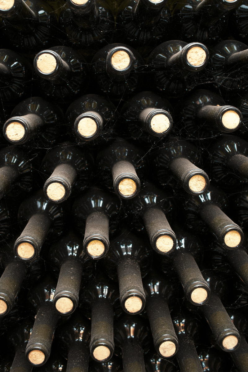 Como organizar os vinhos na sua adega | Viva o Vinho