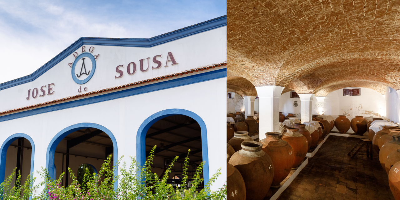 São Martinho na Adega José de Sousa: um Brinde ao Vinho e à Tradição