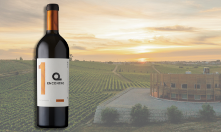 Vinho Encontro 1 vence “Escolha do Mercado Brancos de Portugal 2024″