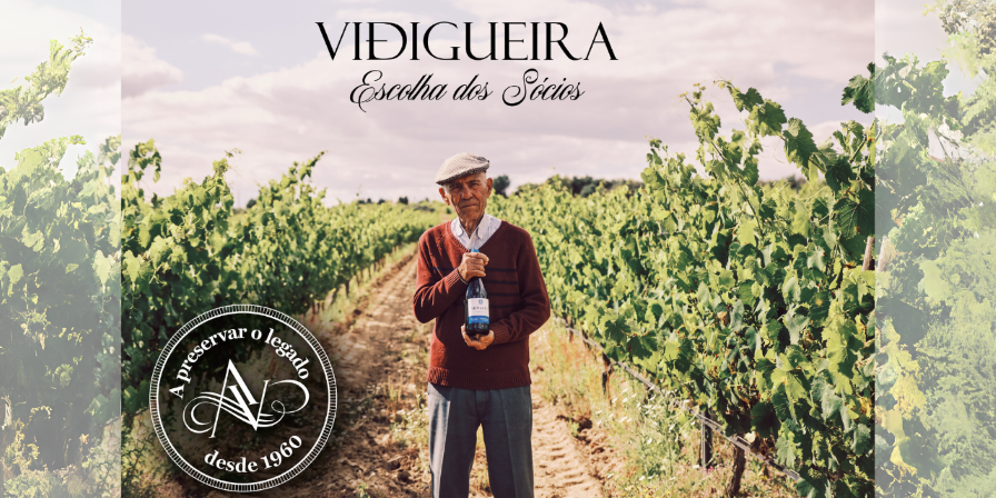 Adega Cooperativa de Vidigueira, Cuba e Alvito Celebra o 64º Aniversário com o Lançamento da Nova Marca de Vinhos “Vidigueira Escolha dos Sócios”